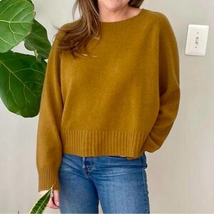 Everlane Cashmere Boxy Crew Sweater Tapenade XS